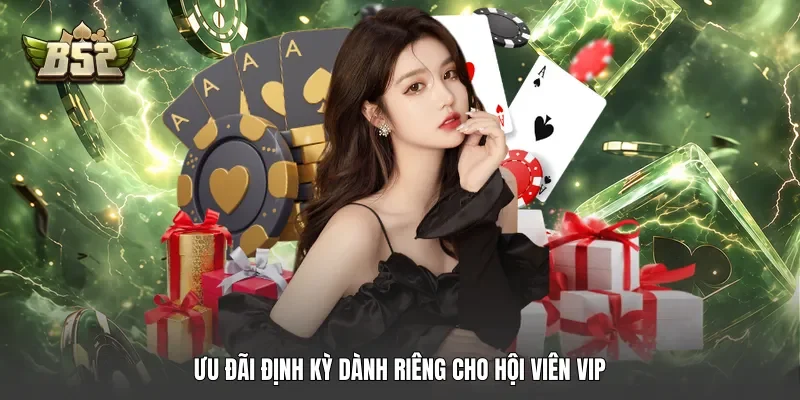 Ưu đãi định kỳ dành riêng cho hội viên VIP